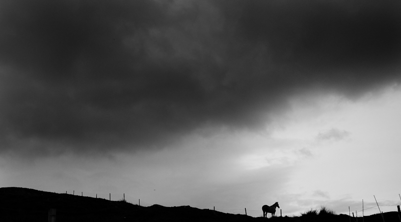 Scotland (photo 11)