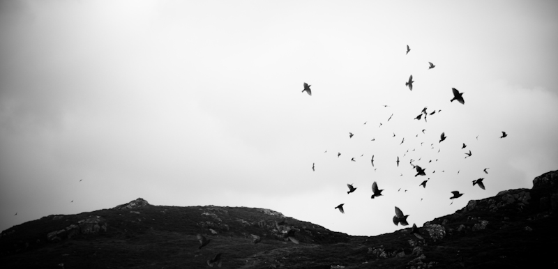 Scotland (photo 13)