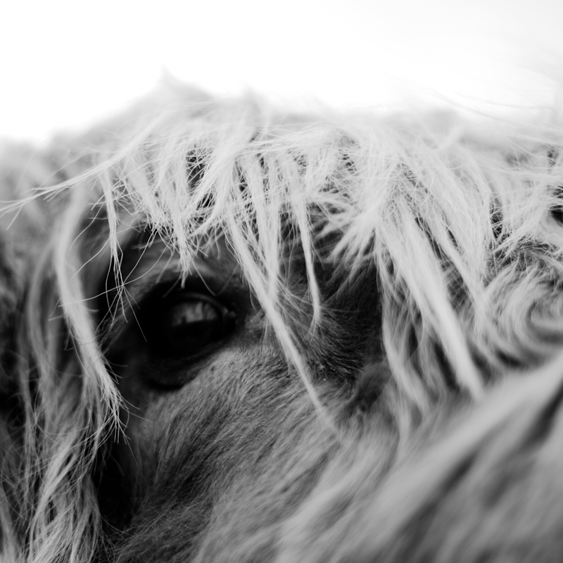 Scotland (photo 19)