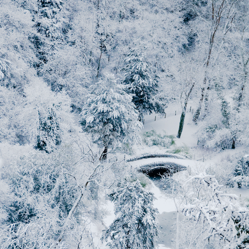 SNOW! (photo 5)