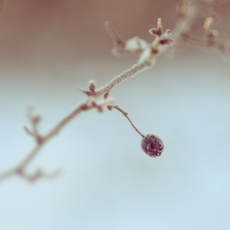 
Such an incredible view.[
Thanks for reading.
Joseph
![SNOW! II