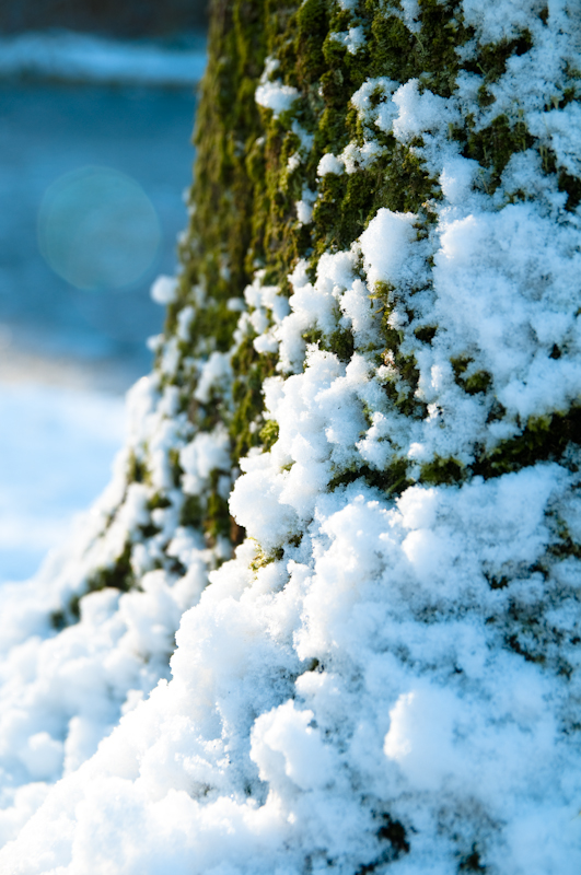 Bristol Snow-11