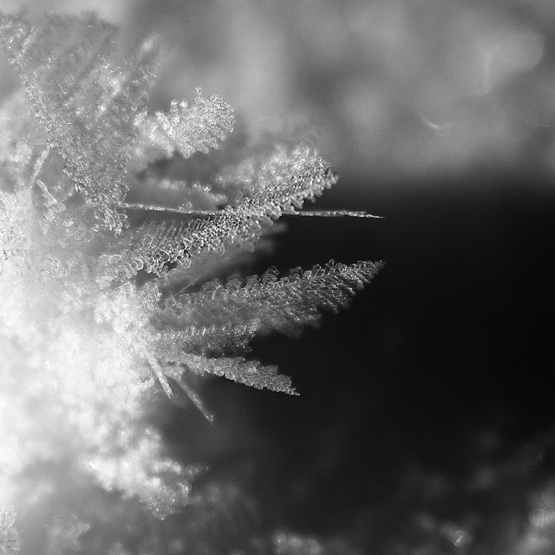Bristol Snow-5