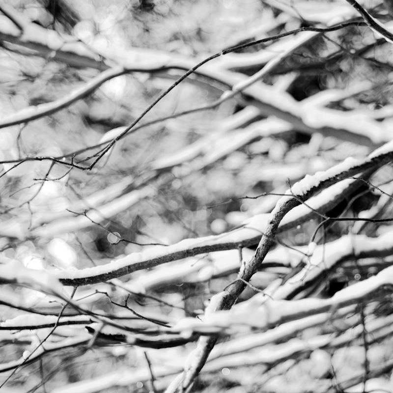 Bristol Snow-6