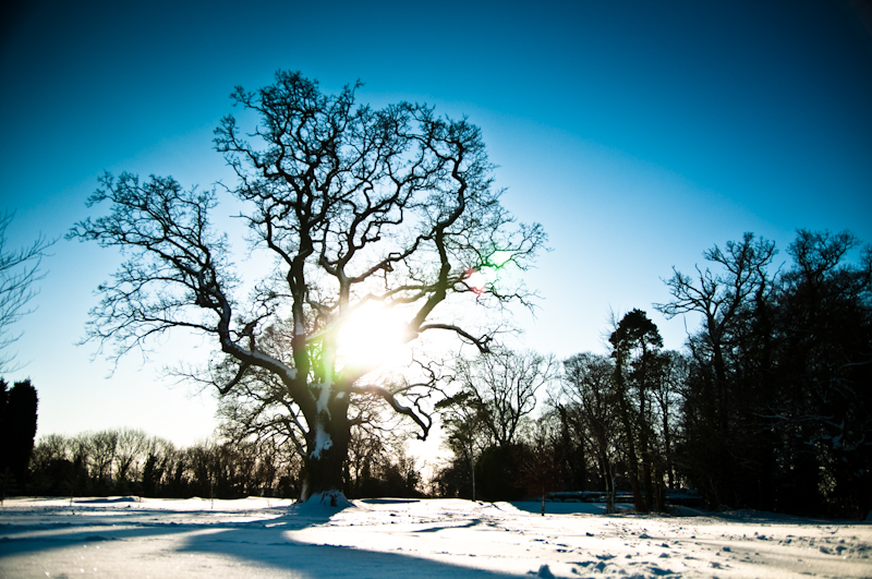 Bristol Snow-7