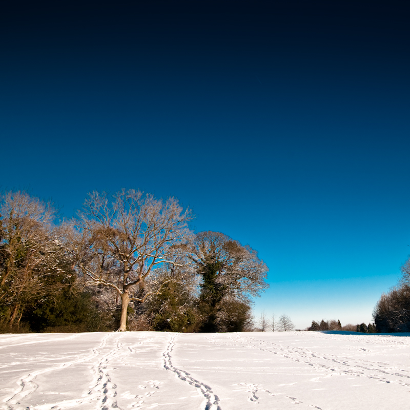 Bristol Snow-8