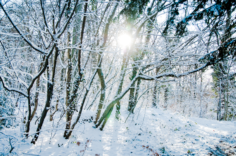 Bristol Snow-9