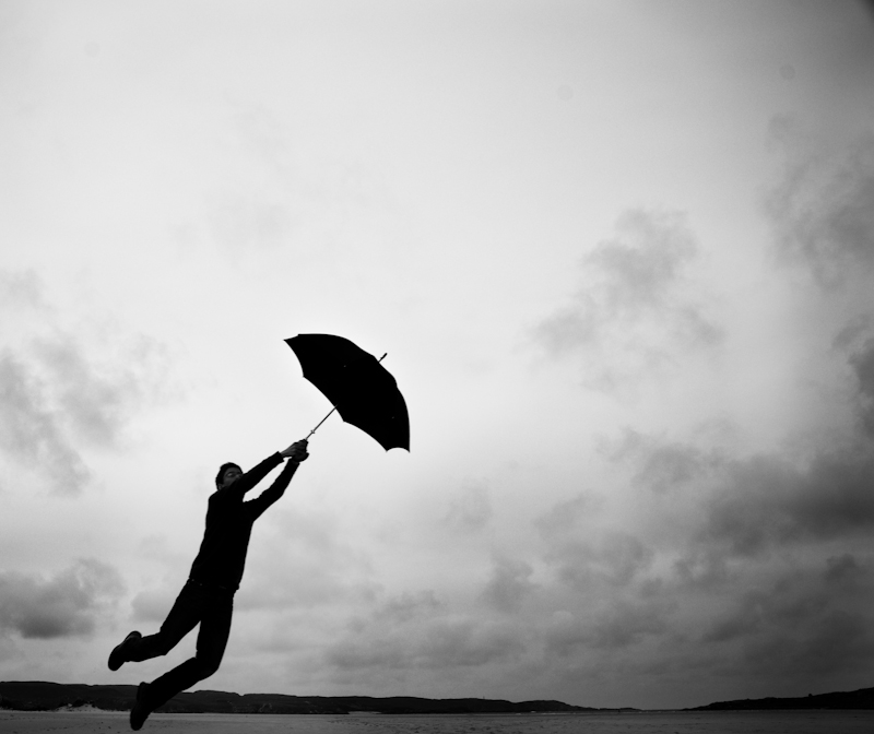 Picture of the Day. (photo 14)