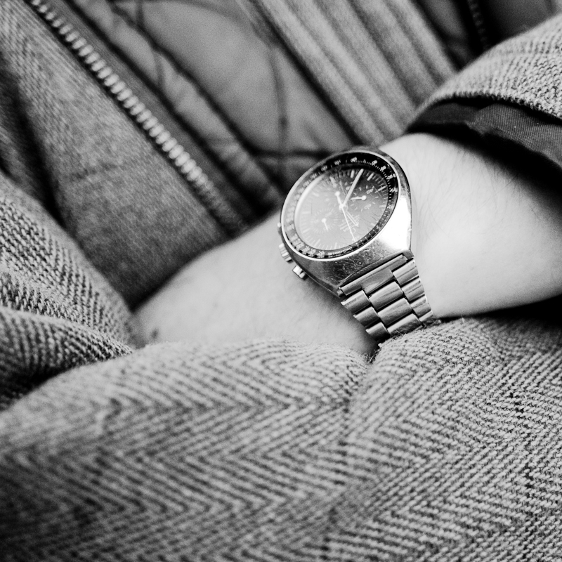 Faye’s Fossil. — DSC 2612 (photo 6)