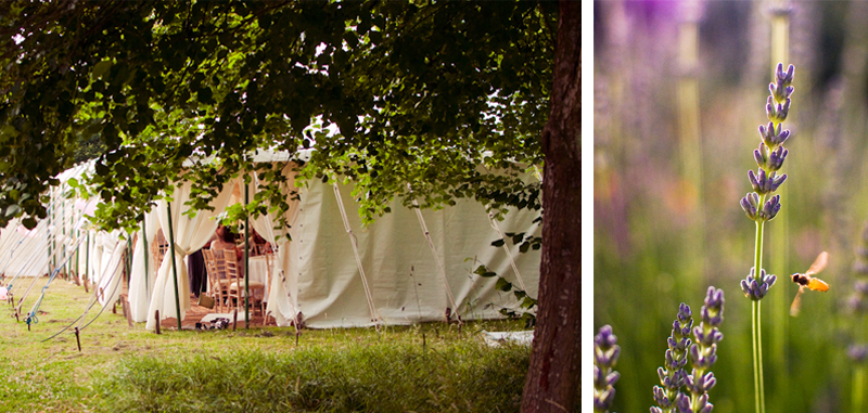 Wedding! Dan and Sabina — 7 (photo 9)