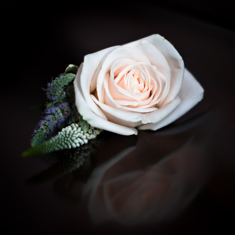 Wedding! Alex and Sian, The Vale of Glamorgan. — Blog (photo 5)