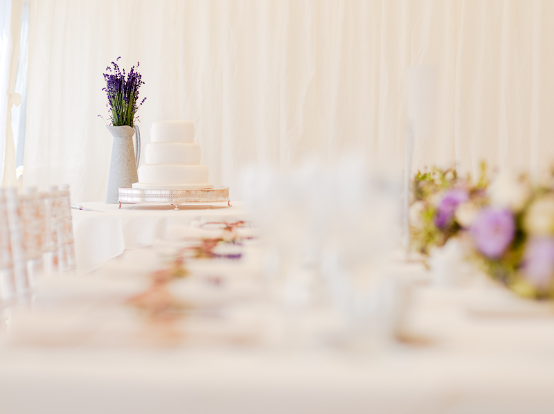 Wedding! Alex and Sian, The Vale of Glamorgan. — Blog (photo 61)