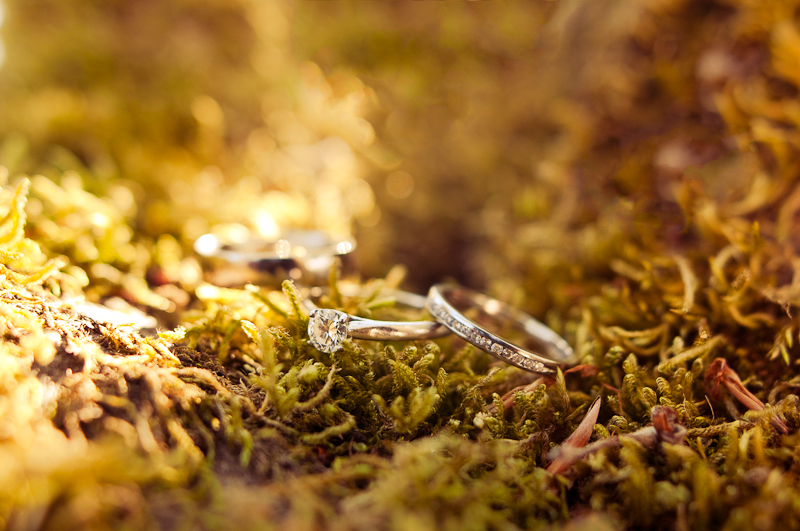 Wedding! Alex and Sian, The Vale of Glamorgan. — Blog (photo 77)