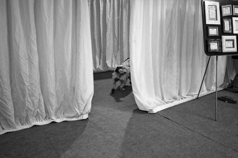 Wedding! Alex and Sian, The Vale of Glamorgan. — Blog (photo 111)