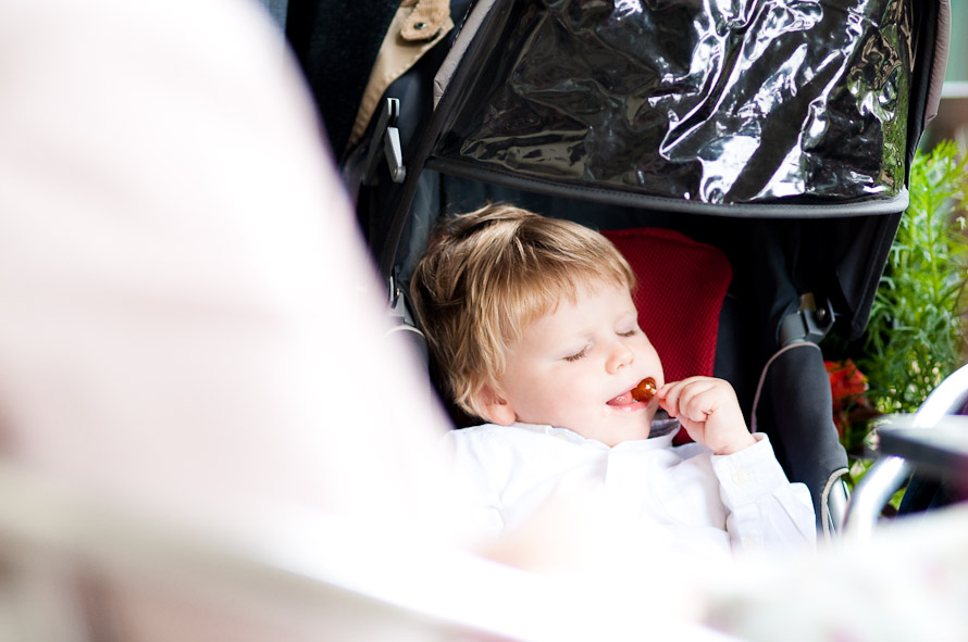 Bristol Zoo Wedding Photographer. Michael & Rachael — photo 8