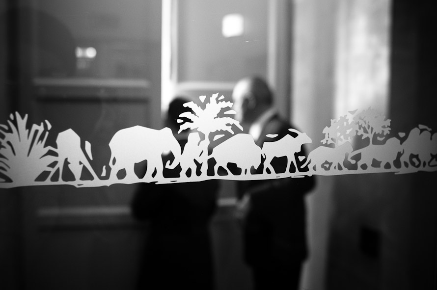 Bristol Zoo Wedding Photographer. Michael & Rachael — photo 9