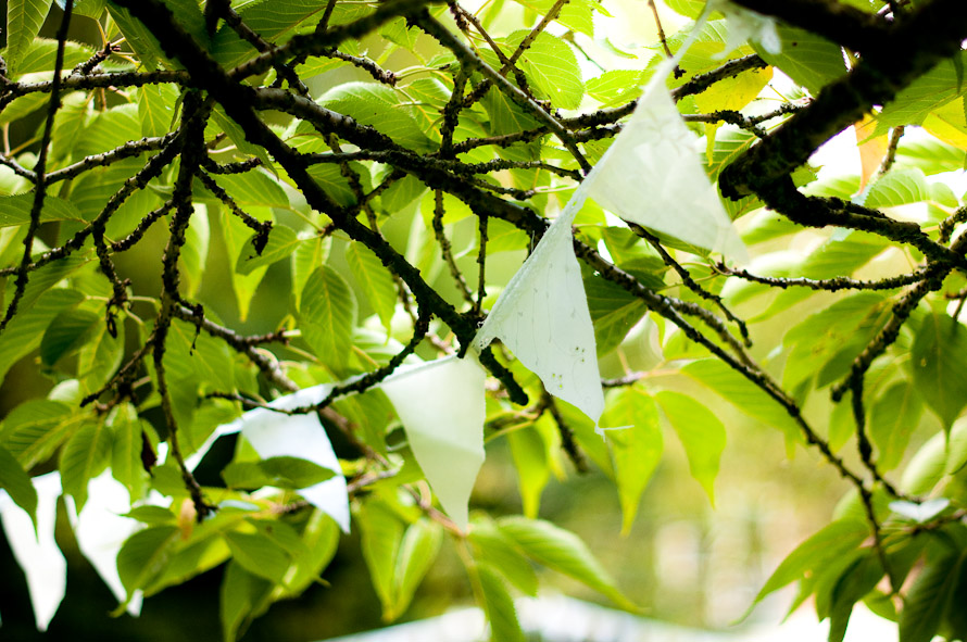 Didsbury Wedding Photographer. Gavin & Lucy — Gavin Lucy Didsbury Wedding (photo 42)