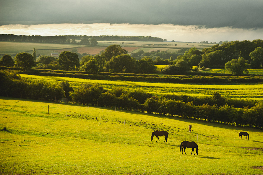 Neil & Flora are getting married! — Bristol wedding photographer (photo 11)