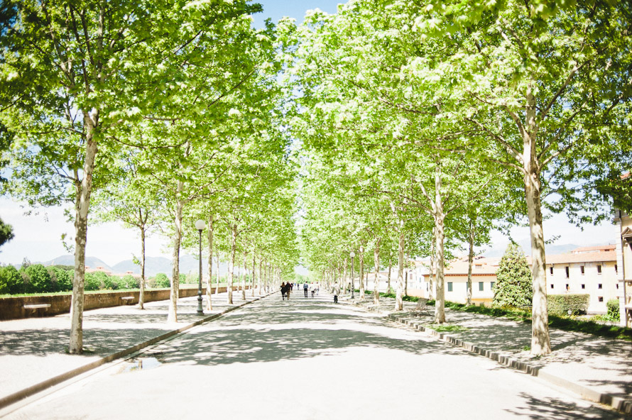 A holiday in Italy. — Lucca Wedding Photographer (photo 79)