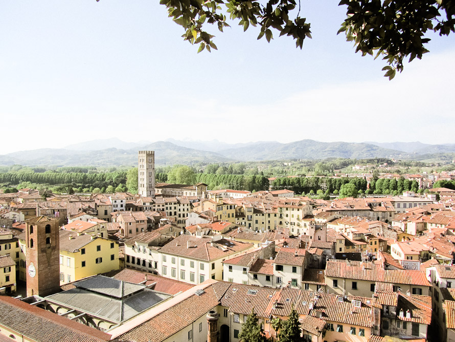 A holiday in Italy. — Lucca Wedding Photographer (photo 84)