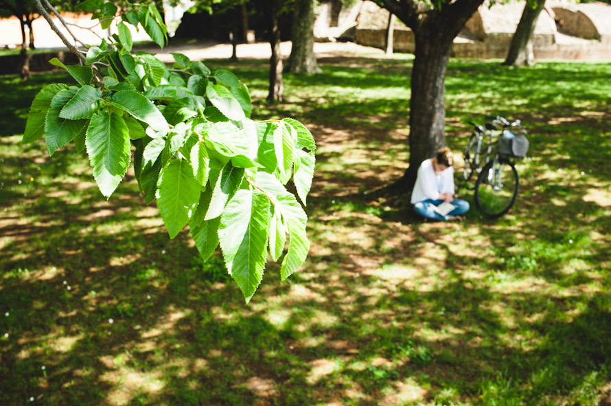 A holiday in Italy. — Lucca Wedding Photographer (photo 96)