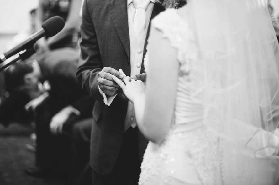 Tyrone & Tarah got married. Berwick Lodge — Berwick Lodge wedding (photo 32)