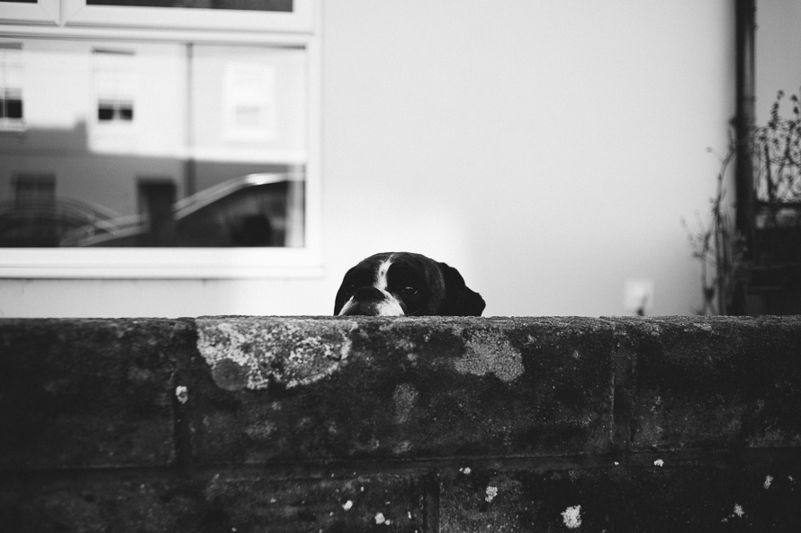 One Day. The Gillespie’s. — Bristol Family Photojournalism (photo 54)