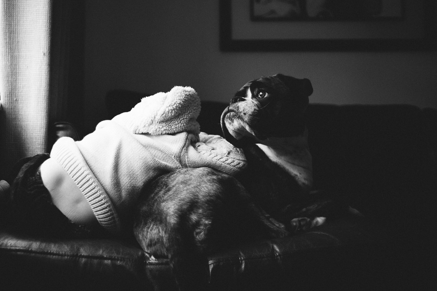 One Day. The Gillespie’s. — Bristol Family Photojournalism (photo 66)